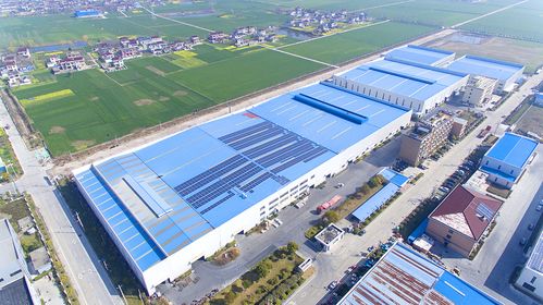 泰州姜堰 以“不老松”全生命周期产品创新理念，助力山东软件产业大树成林