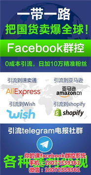 深度解析 Facebook群控软件的应用价值与山东软件开发实力