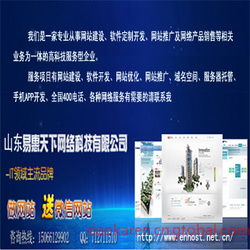 济南网络公司 山东软件开发供应的区域核心力量