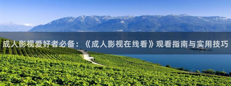 理论在线电影av