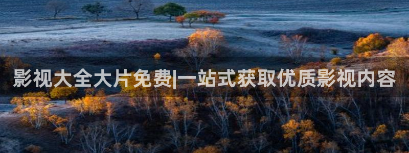 韩国理论电影免费费看：影视大全大片免费|一站式获取优质影视内容