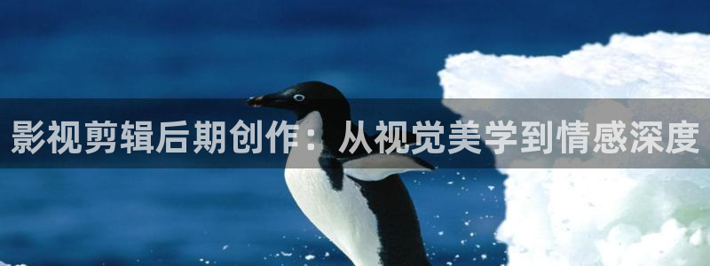 韩国理论电影朋友：影视剪辑后期创作：从视觉美学到情感深度