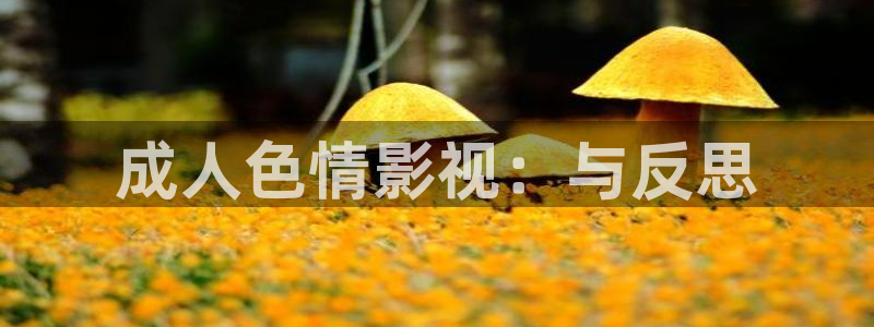 午夜伦伦影理论片大片飘花影院：成人色情影视：与反思