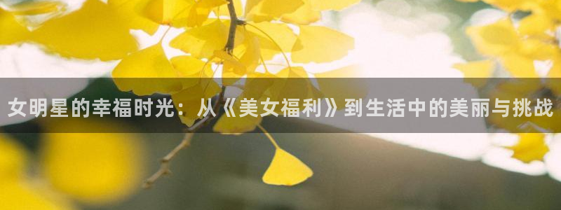 神马电影网韩国理论