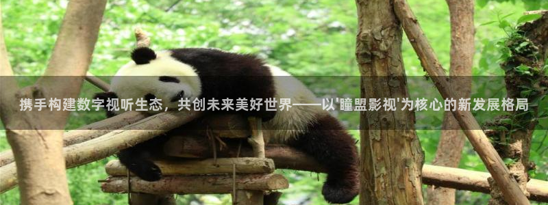 理论在线电影观看：携手构建数字视听生态，共创未来美好世界——以\'瞳盟影视\'为核心的新发展格局