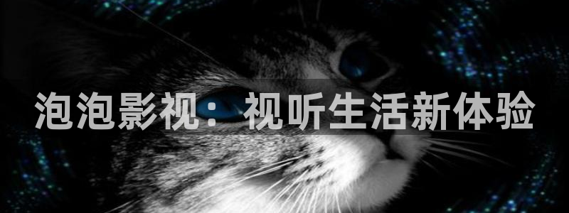 电影叙事学理论和实例：泡泡影视：视听生活新体验