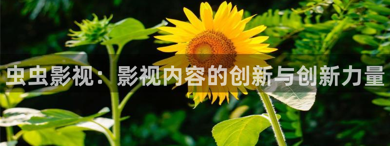 理论片网站国产