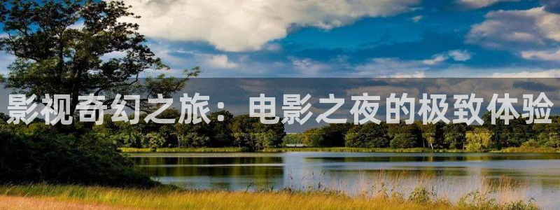 理论电影 韩国：影视奇幻之旅：电影之夜的极致体验