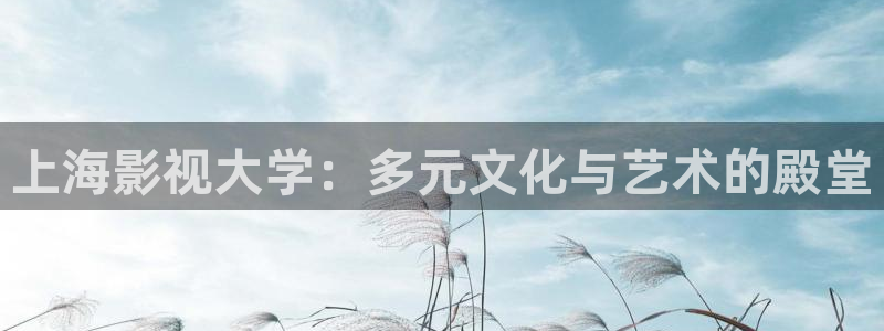 电影欧美理论