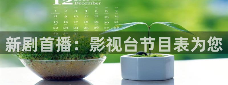 韩国理论高清在线