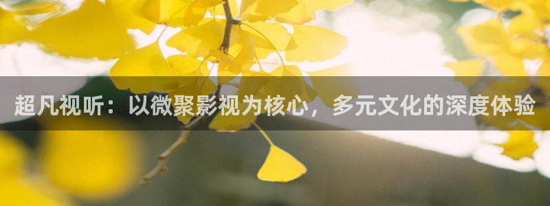 秋霞电影网在线理论