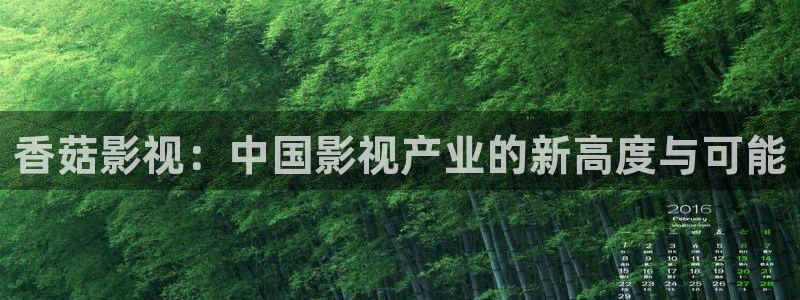 泰国理论电影在线观看