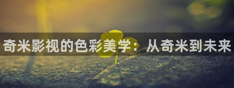 韩国理论电影网站在线观看
