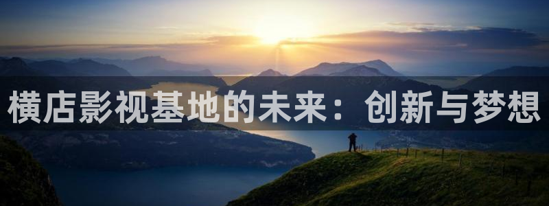 理论电影在线观看网