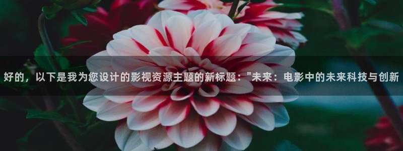 韩国理论电影外出