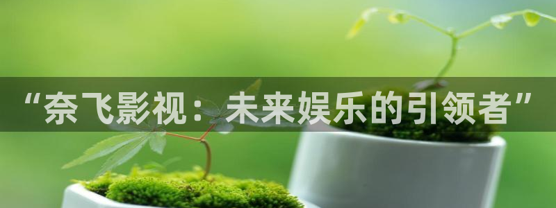 理论片网